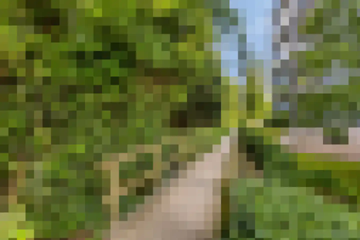 Triade 14 Castricum thumbnail 41