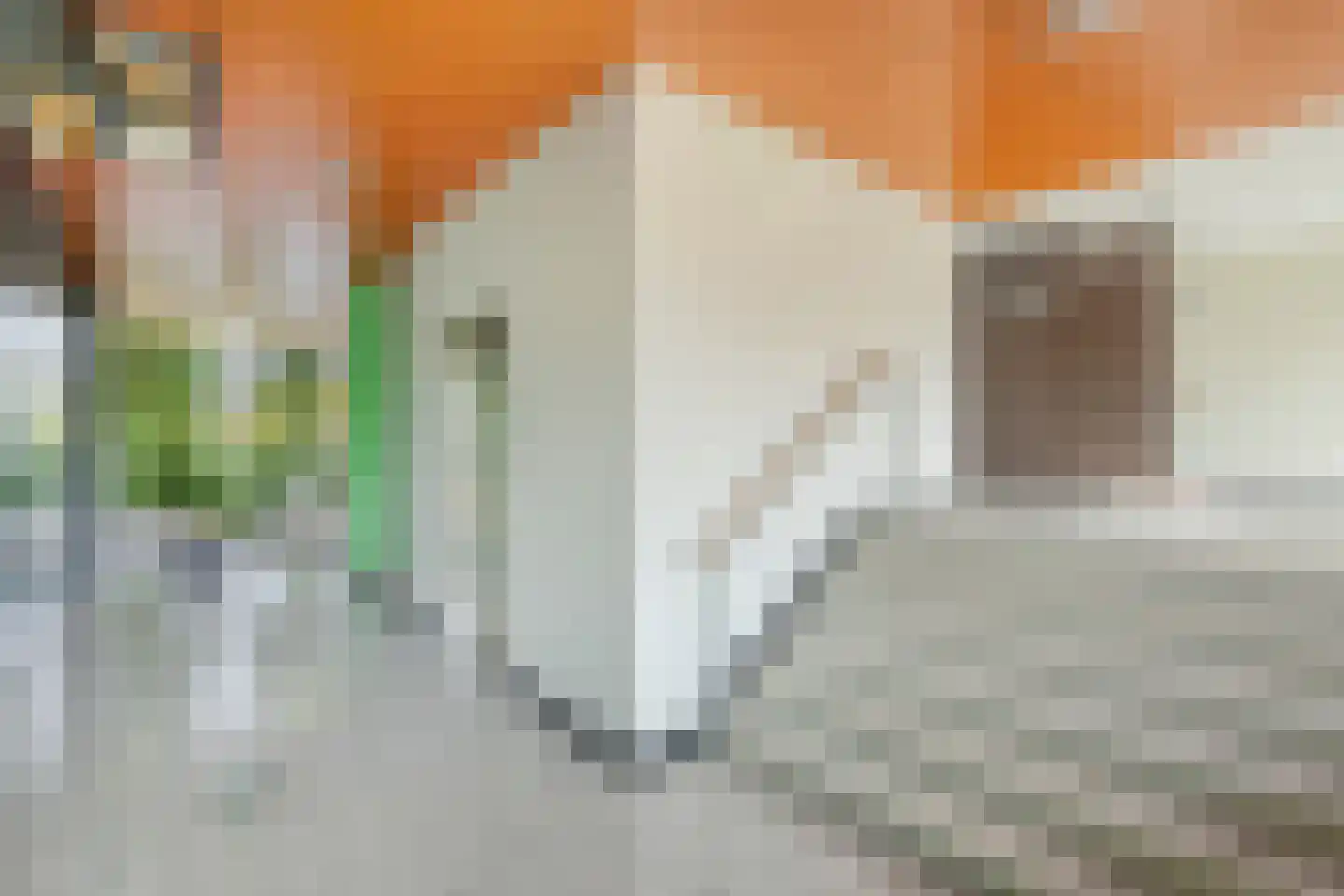Triade 14 Castricum thumbnail 7