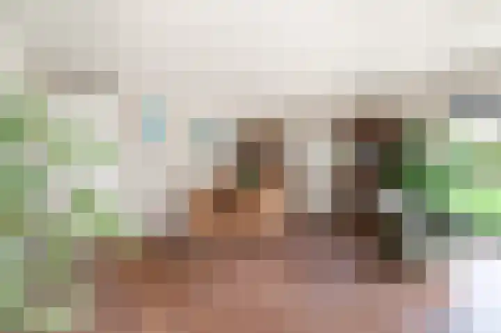 Triade 2 Castricum thumbnail 10