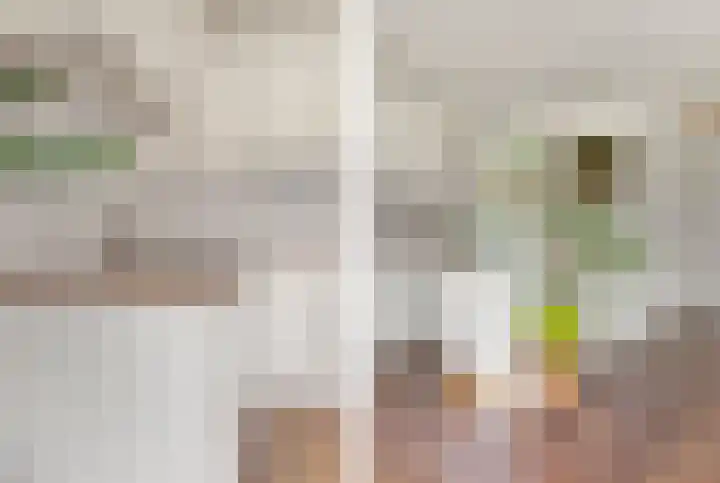 Triade 2 Castricum thumbnail 13