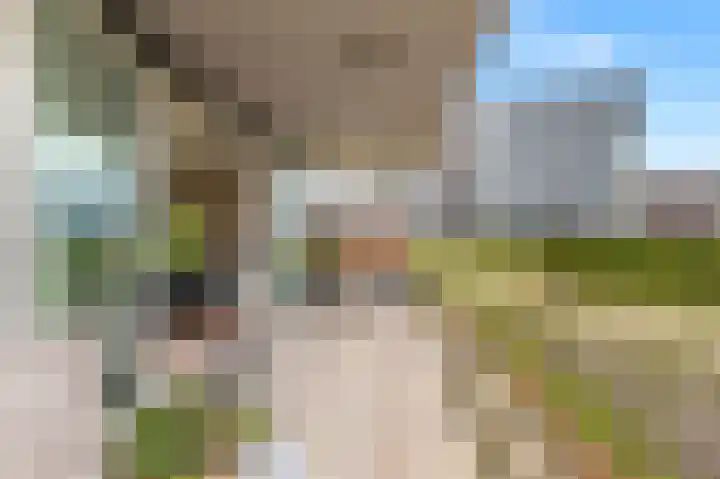 Triade 2 Castricum thumbnail 17