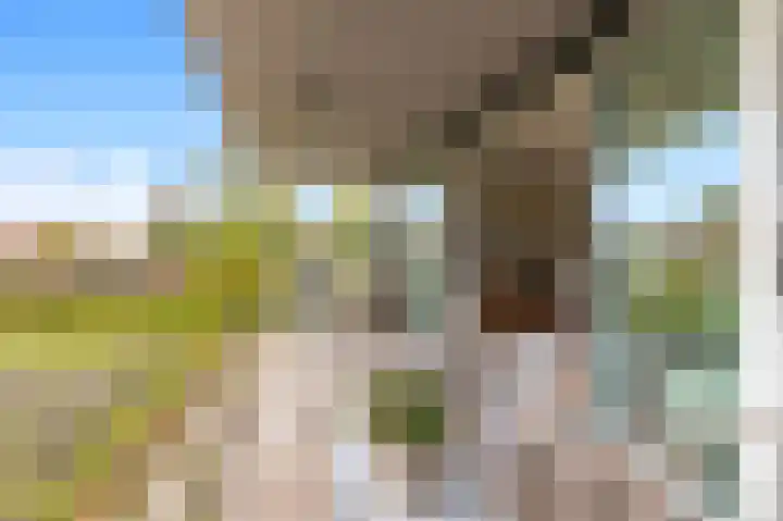 Triade 2 Castricum thumbnail 18