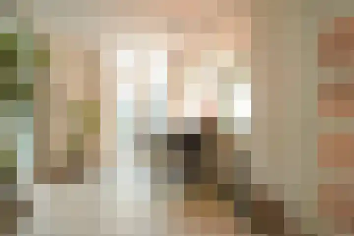 Triade 2 Castricum thumbnail 19