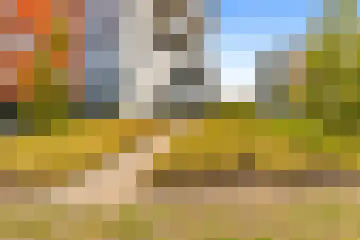 Triade 2 Castricum thumbnail 35