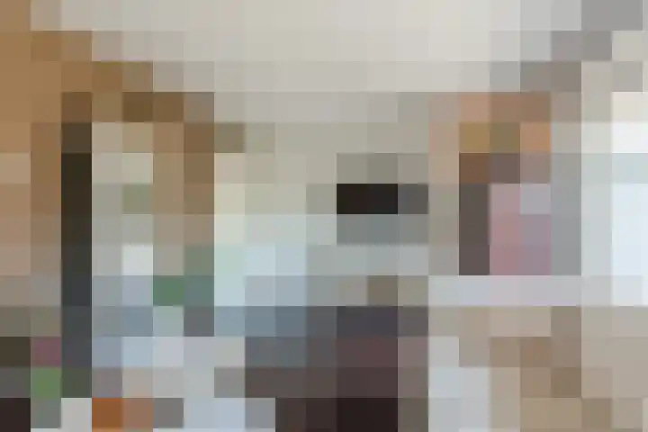 Triade 2 Castricum thumbnail 4