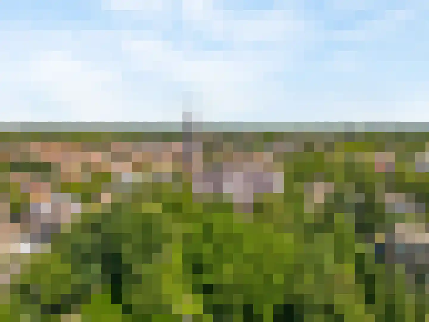 Triade 44 Castricum thumbnail 26