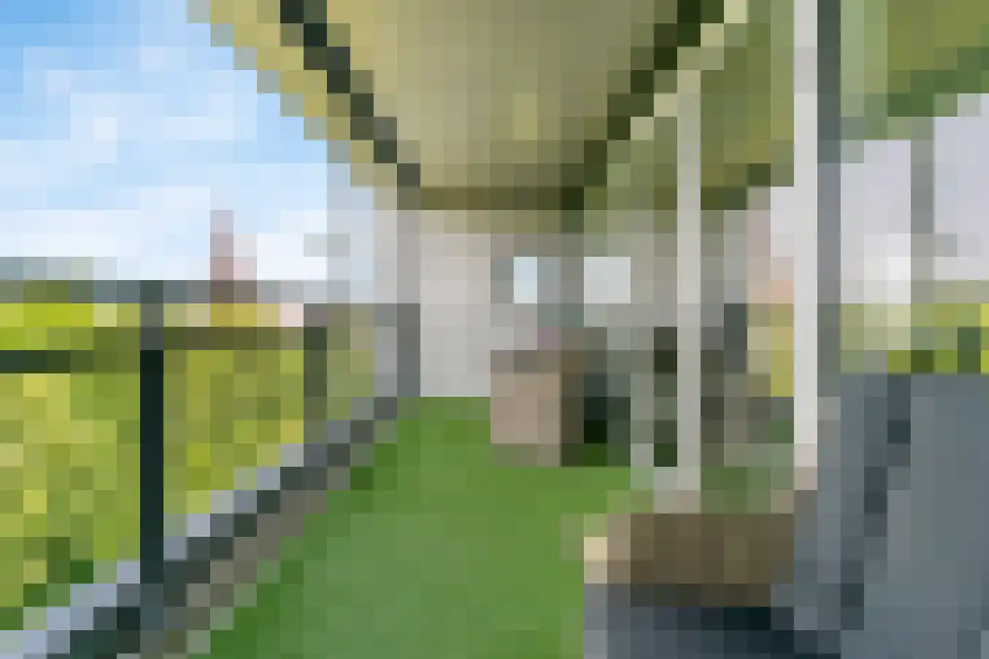 Triade 44 Castricum thumbnail 27