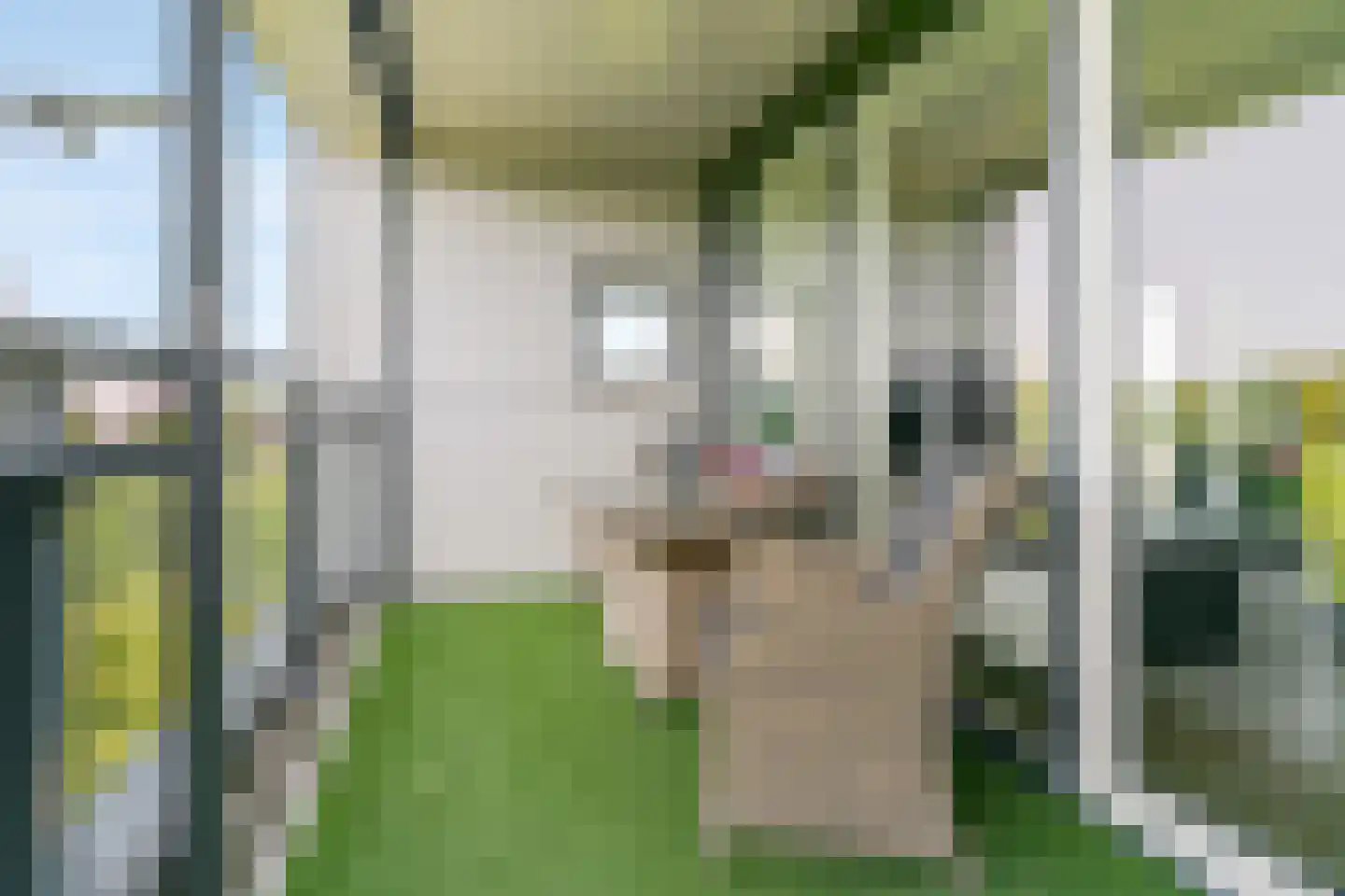 Triade 44 Castricum thumbnail 28