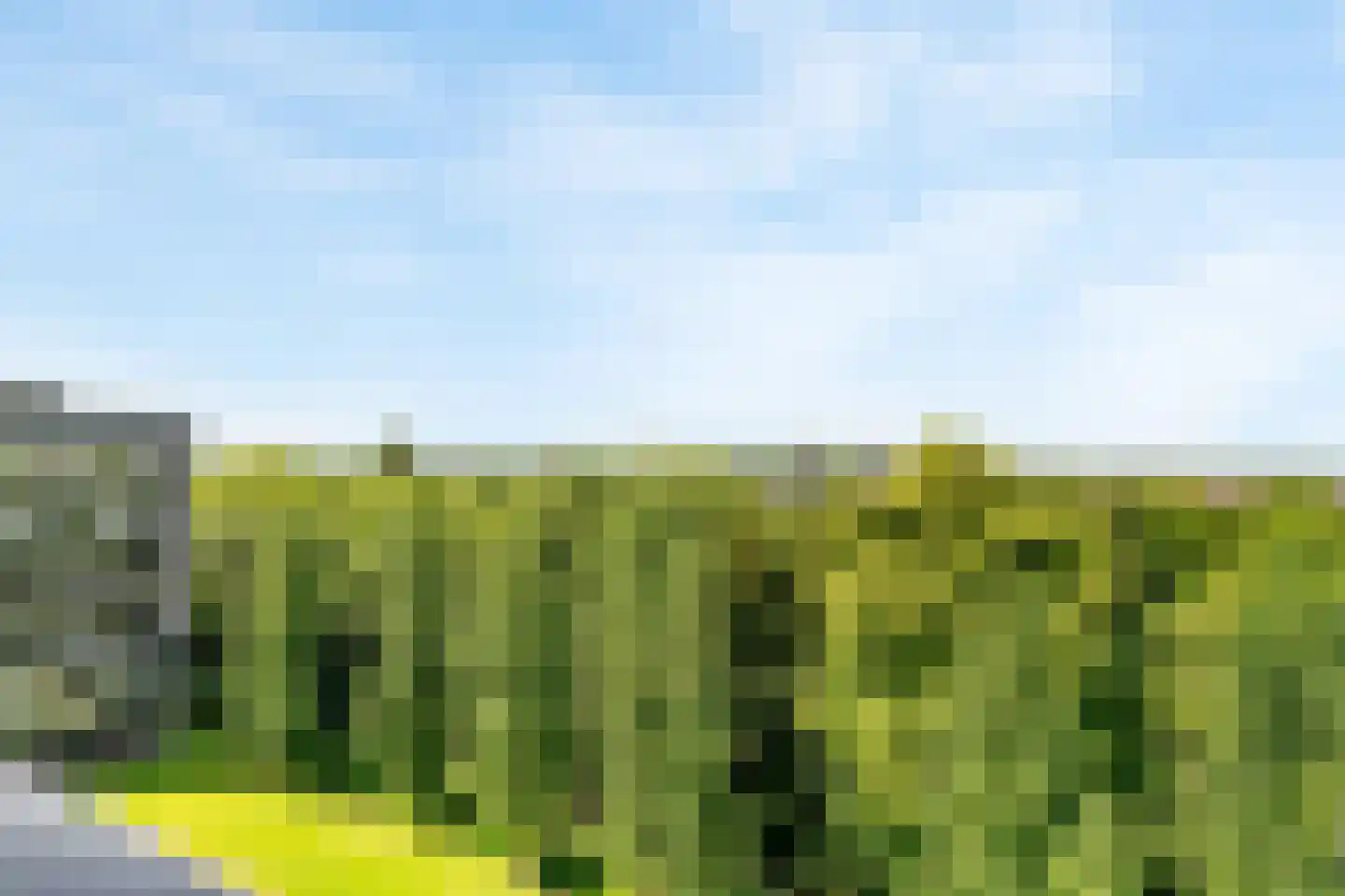 Triade 44 Castricum thumbnail 30