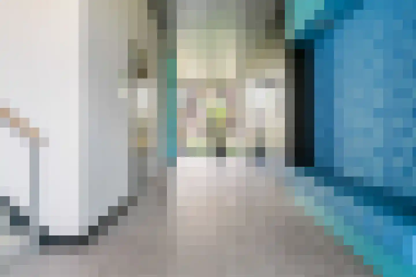 Triade 44 Castricum thumbnail 46