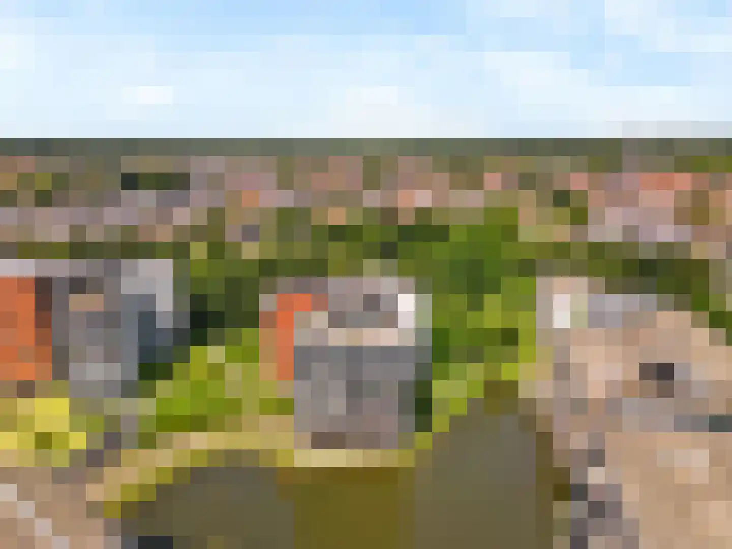 Triade 44 Castricum thumbnail 50