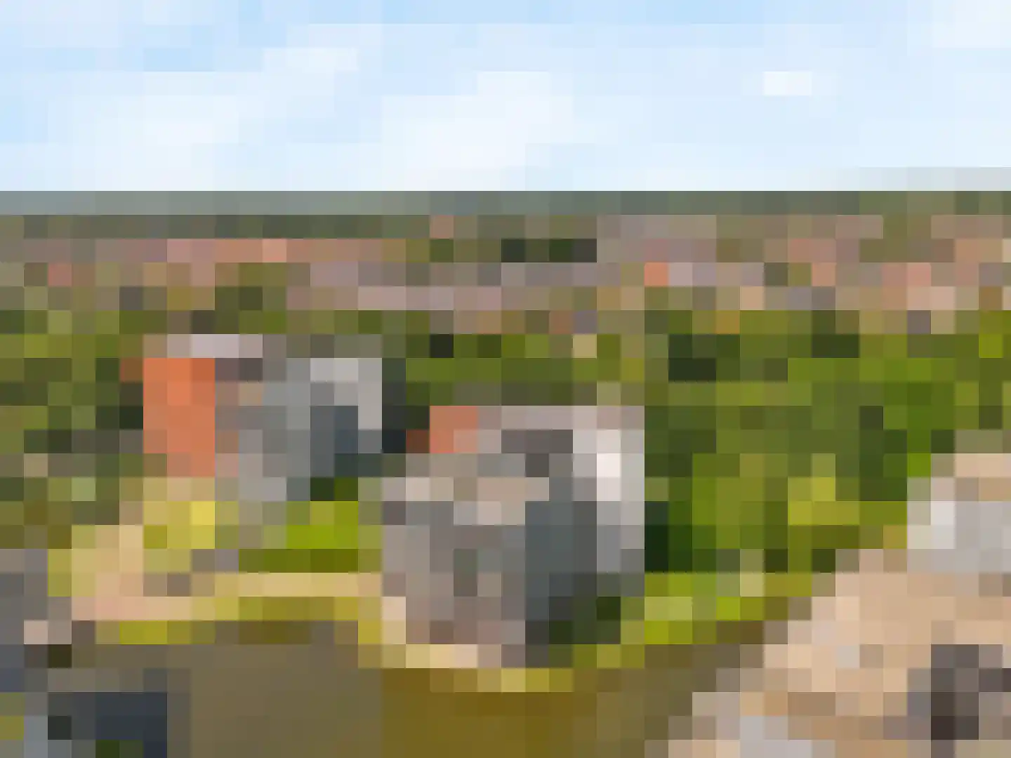 Triade 44 Castricum thumbnail 51