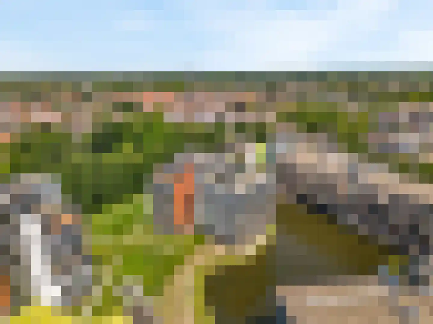 Triade 44 Castricum thumbnail 52