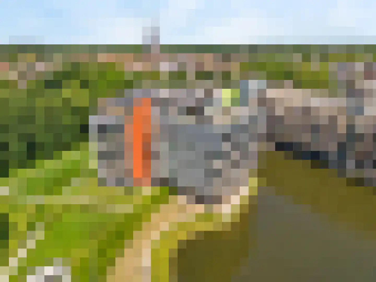 Triade 44 Castricum thumbnail 54