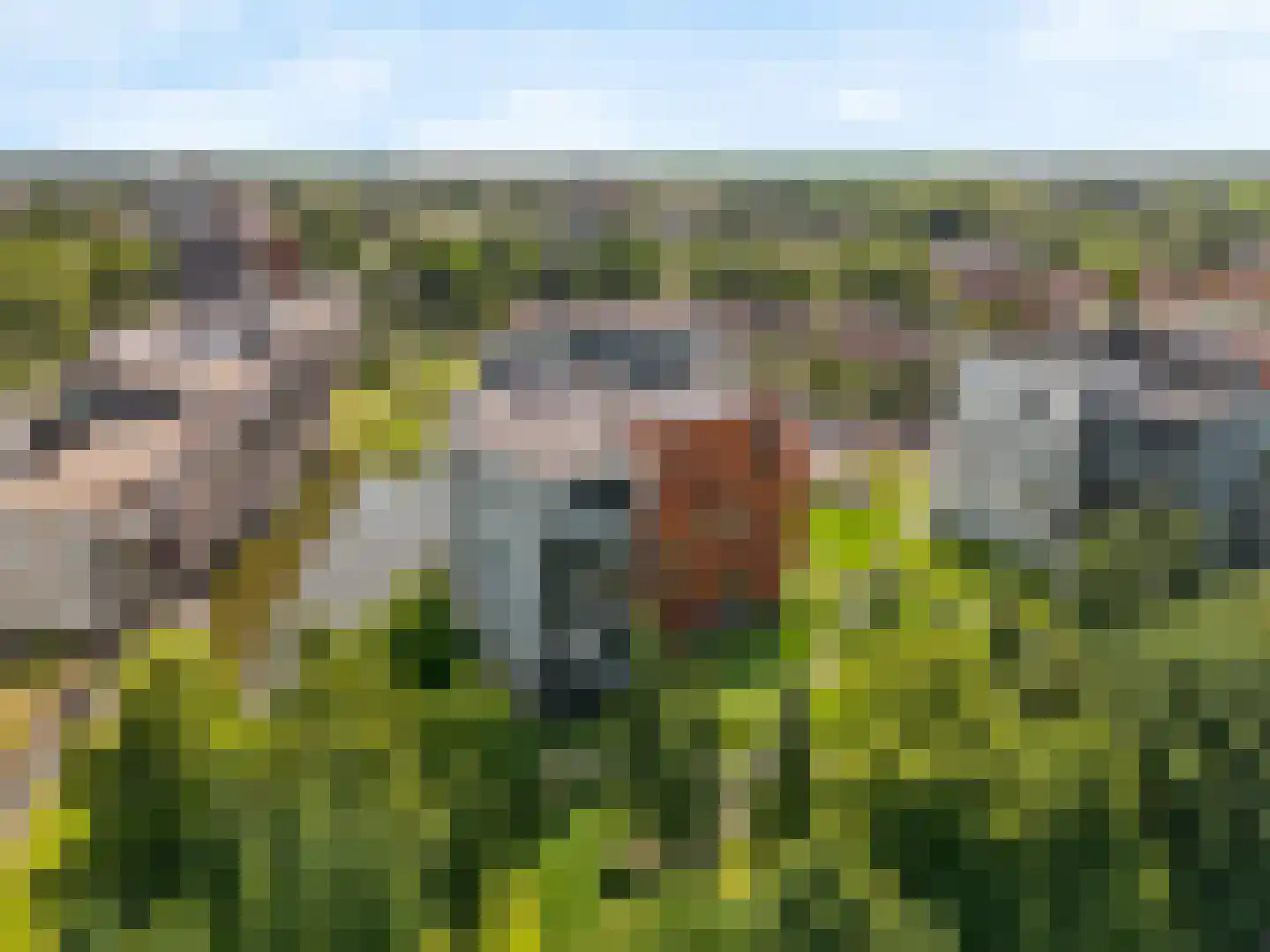Triade 44 Castricum thumbnail 55
