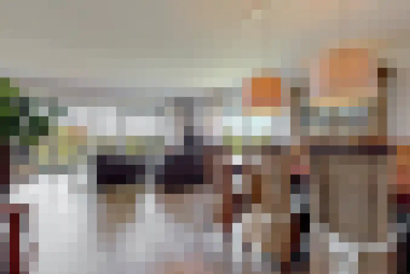 Triade 44 Castricum thumbnail 7