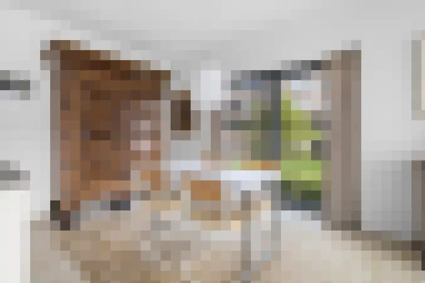 Triade 47 Castricum thumbnail 15