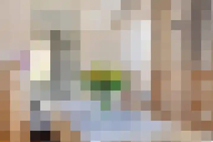 Triangel 1 Heythuysen thumbnail 12