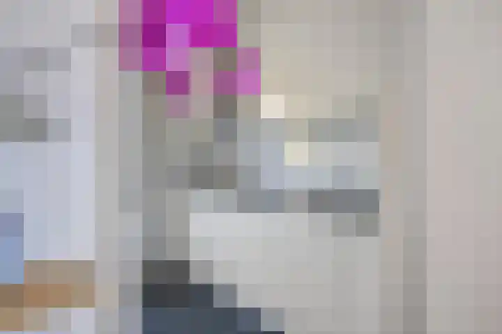 Triangel 1 Heythuysen thumbnail 15