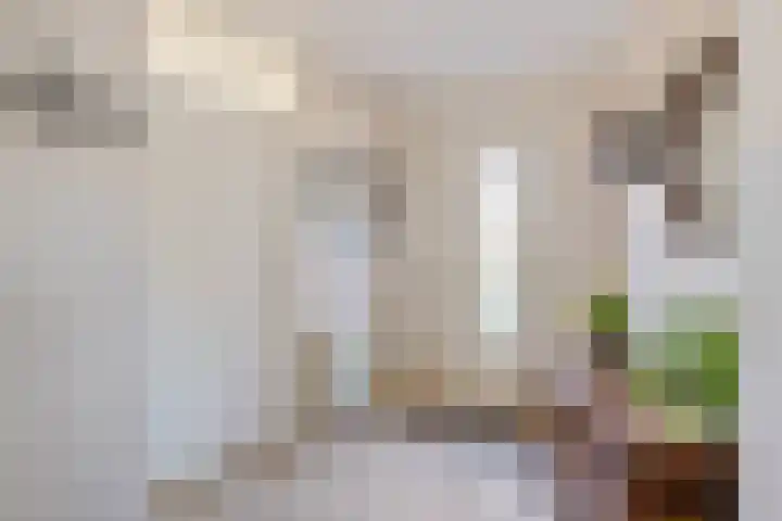 Triangel 1 Heythuysen thumbnail 5