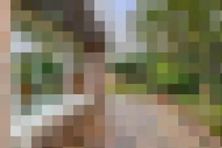 Triangel 2 Nieuwegein thumbnail 28