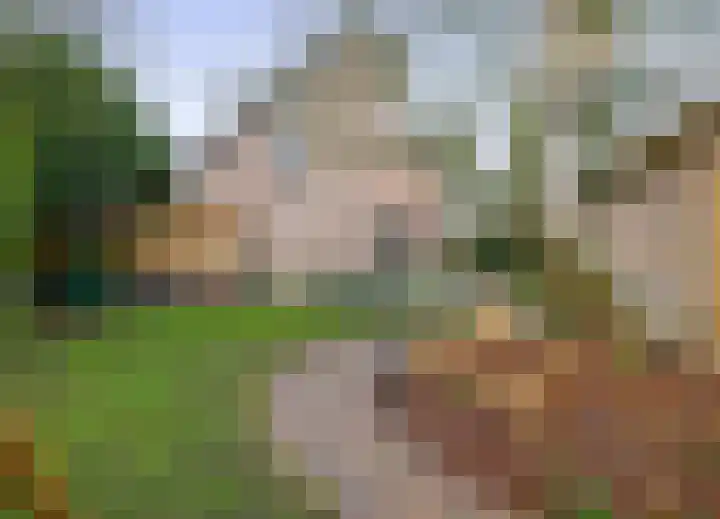 Triangel 2 Nieuwegein thumbnail 30