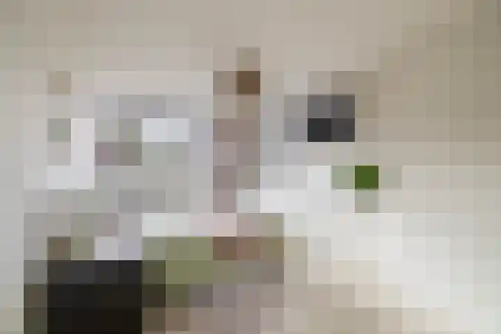 Triangel 2 Nieuwegein thumbnail 35