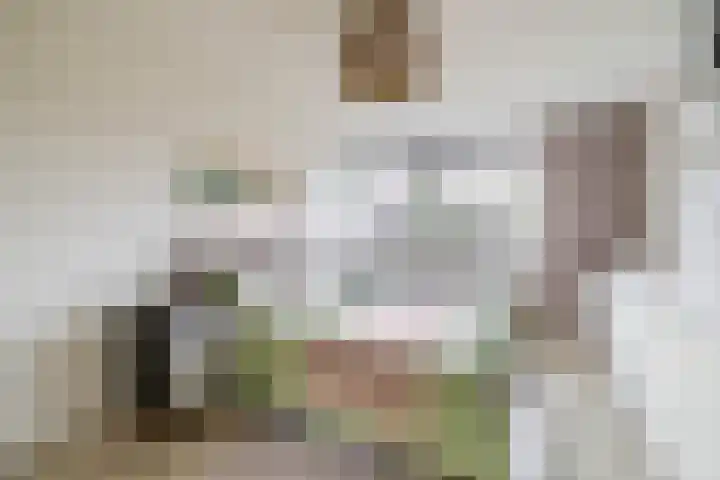 Triangel 2 Nieuwegein thumbnail 36
