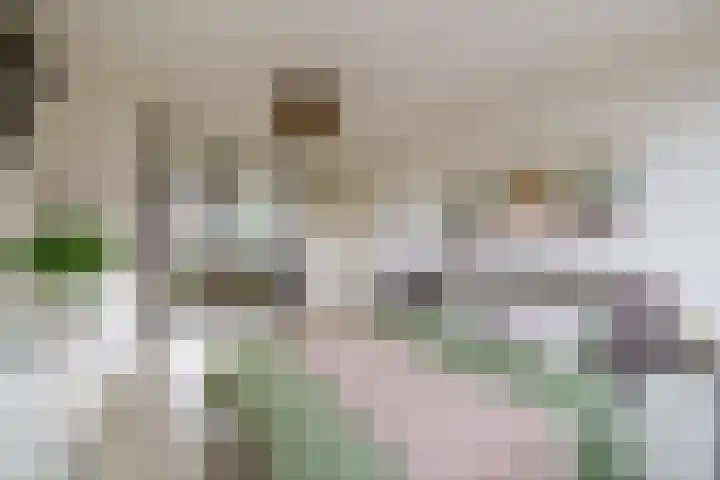 Triangel 2 Nieuwegein thumbnail 37