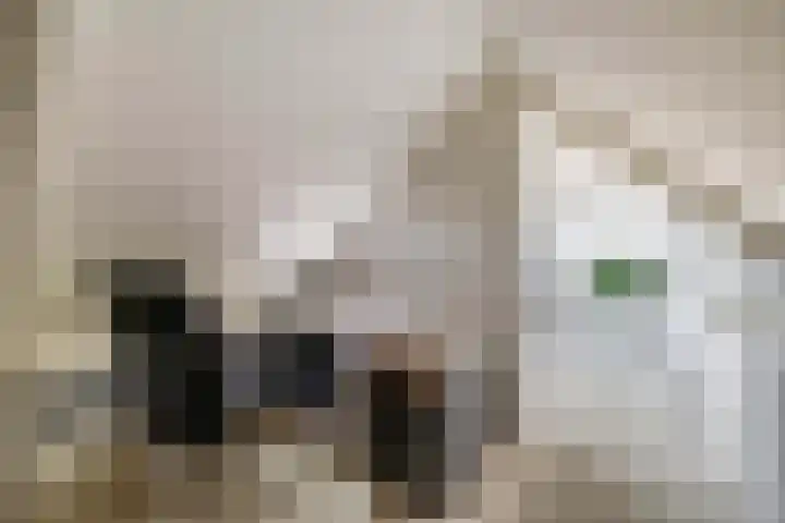 Triangel 2 Nieuwegein thumbnail 48