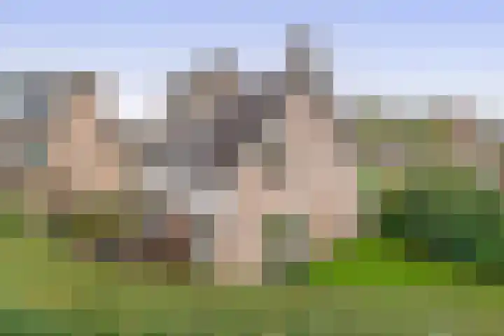 Triangel 2 Nieuwegein thumbnail 51