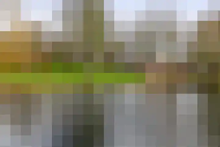 Triangel 2 Nieuwegein thumbnail 62