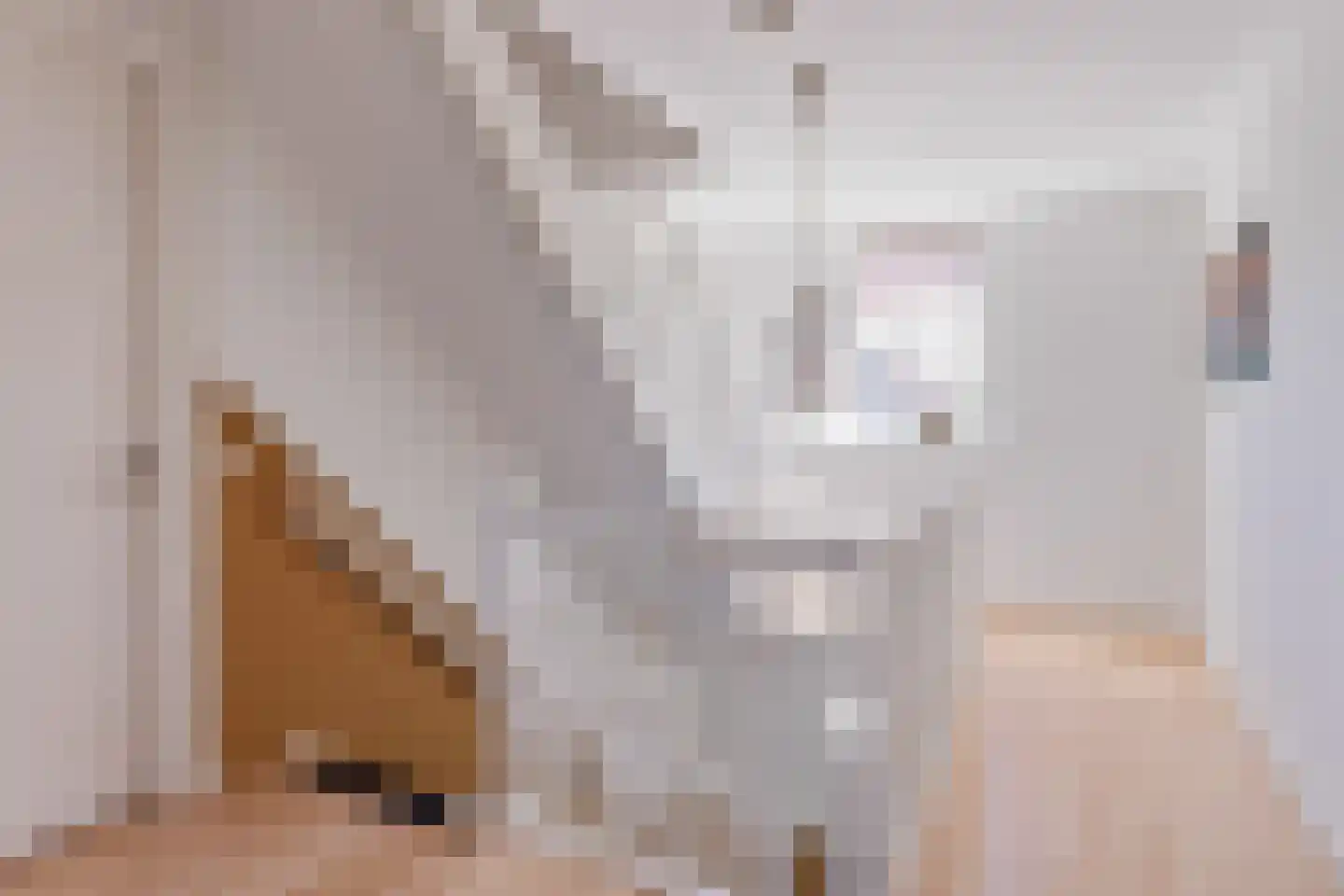 Triangel 9 Tubbergen thumbnail 21