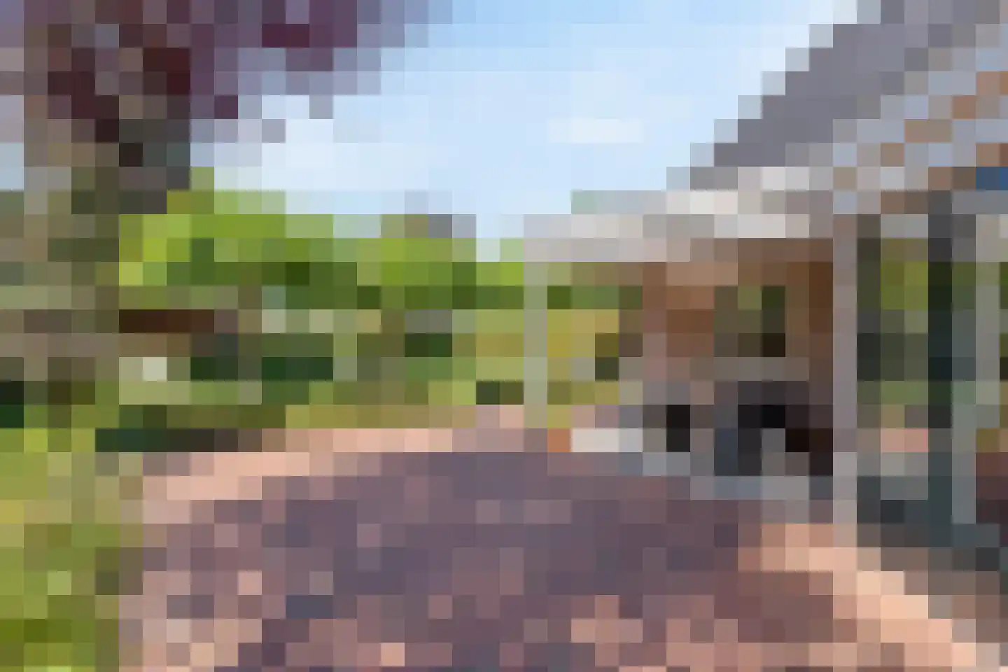 Triangel 9 Tubbergen thumbnail 23