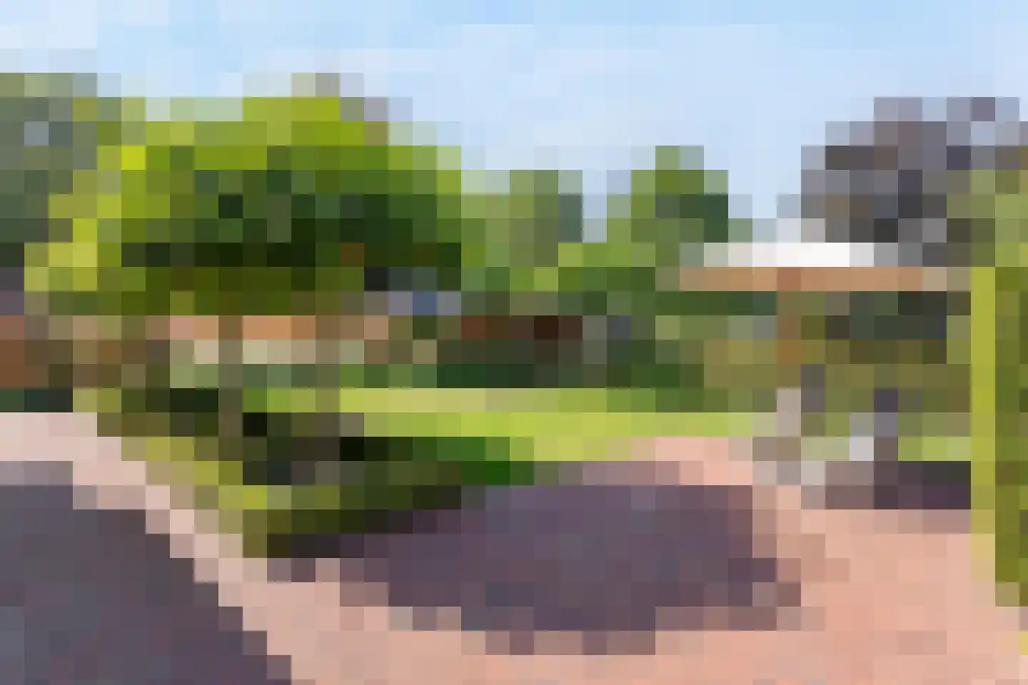 Triangel 9 Tubbergen thumbnail 24