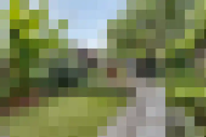 Triangeldreef 53 Etten-Leur thumbnail 19
