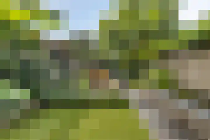 Triangeldreef 53 Etten-Leur thumbnail 20