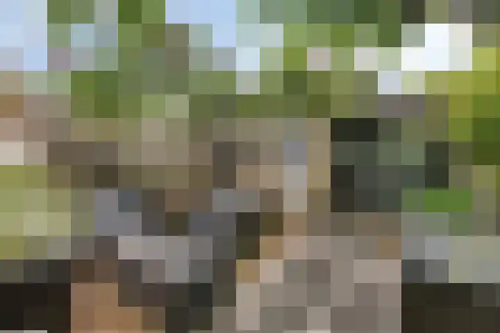 Triangeldreef 53 Etten-Leur thumbnail 21