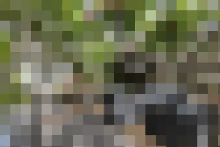 Triangeldreef 53 Etten-Leur thumbnail 22