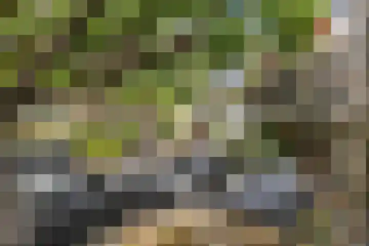 Triangeldreef 53 Etten-Leur thumbnail 25