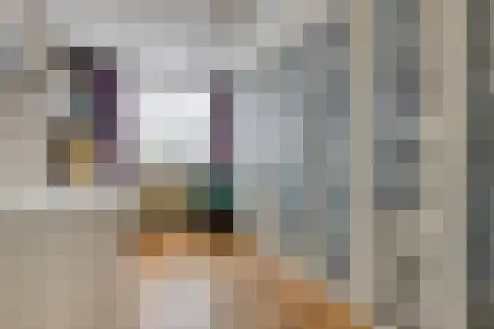 Triangeldreef 53 Etten-Leur thumbnail 30