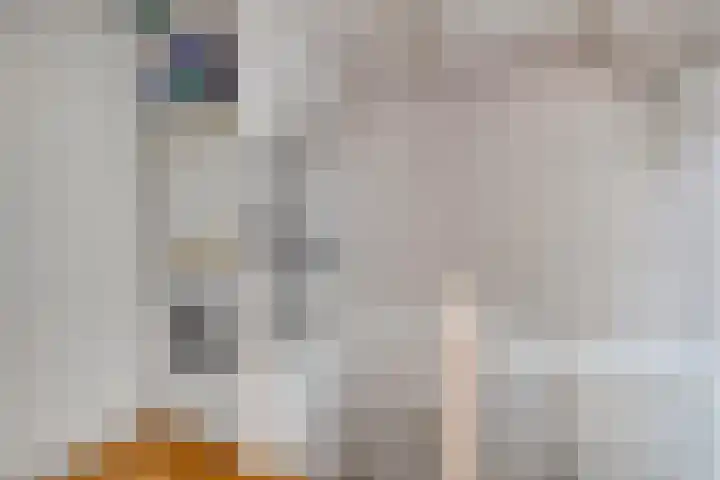 Triangeldreef 53 Etten-Leur thumbnail 32