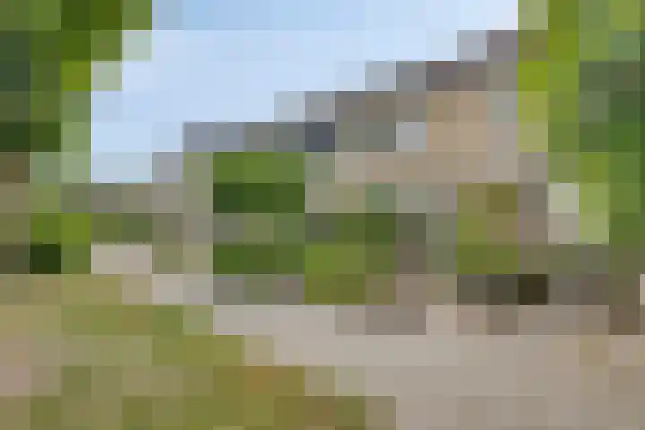 Triangeldreef 53 Etten-Leur thumbnail 6