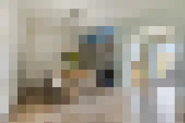 Triangeldreef 70 Etten-Leur thumbnail 12