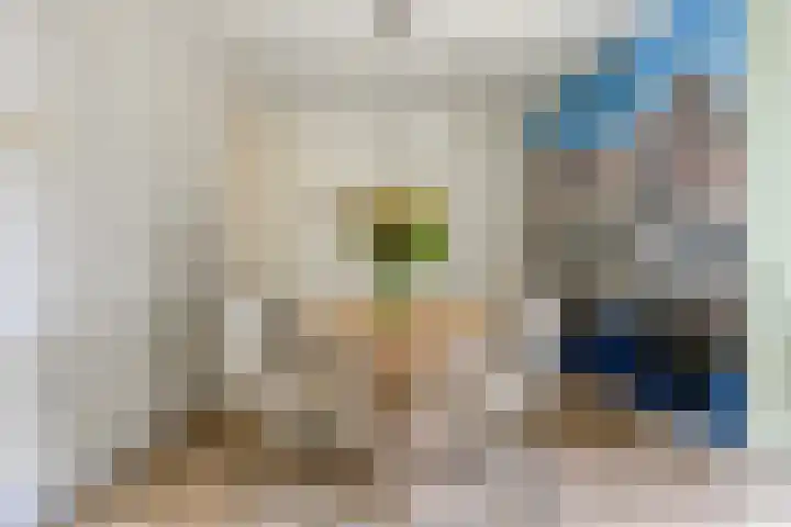 Triangeldreef 70 Etten-Leur thumbnail 13