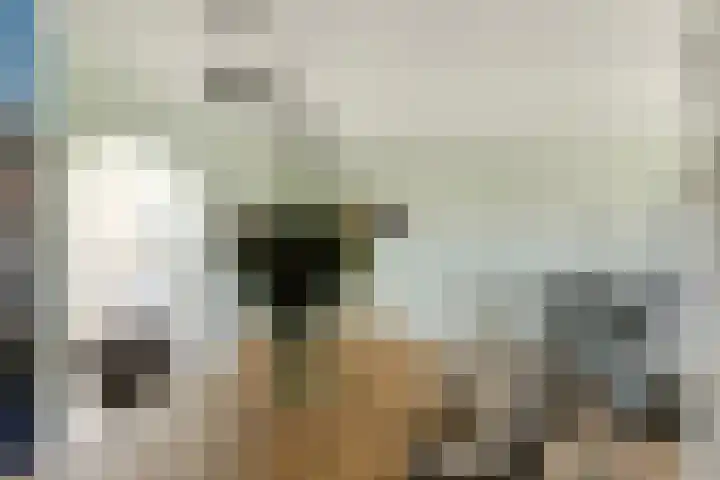 Triangeldreef 70 Etten-Leur thumbnail 15