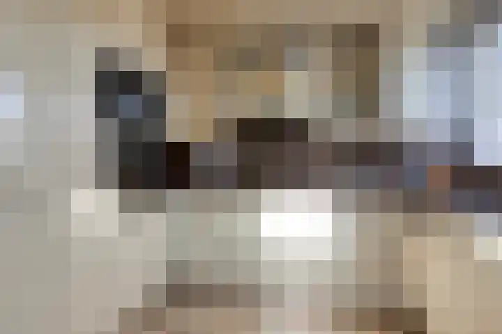 Triangeldreef 70 Etten-Leur thumbnail 19