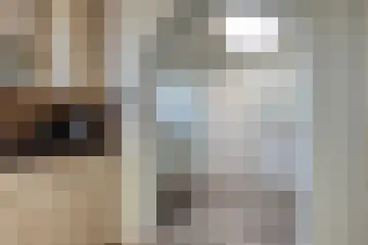 Triangeldreef 70 Etten-Leur thumbnail 20
