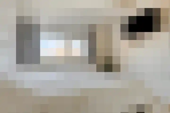 Triangeldreef 70 Etten-Leur thumbnail 22