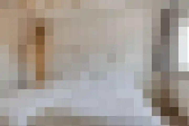 Triangeldreef 70 Etten-Leur thumbnail 25
